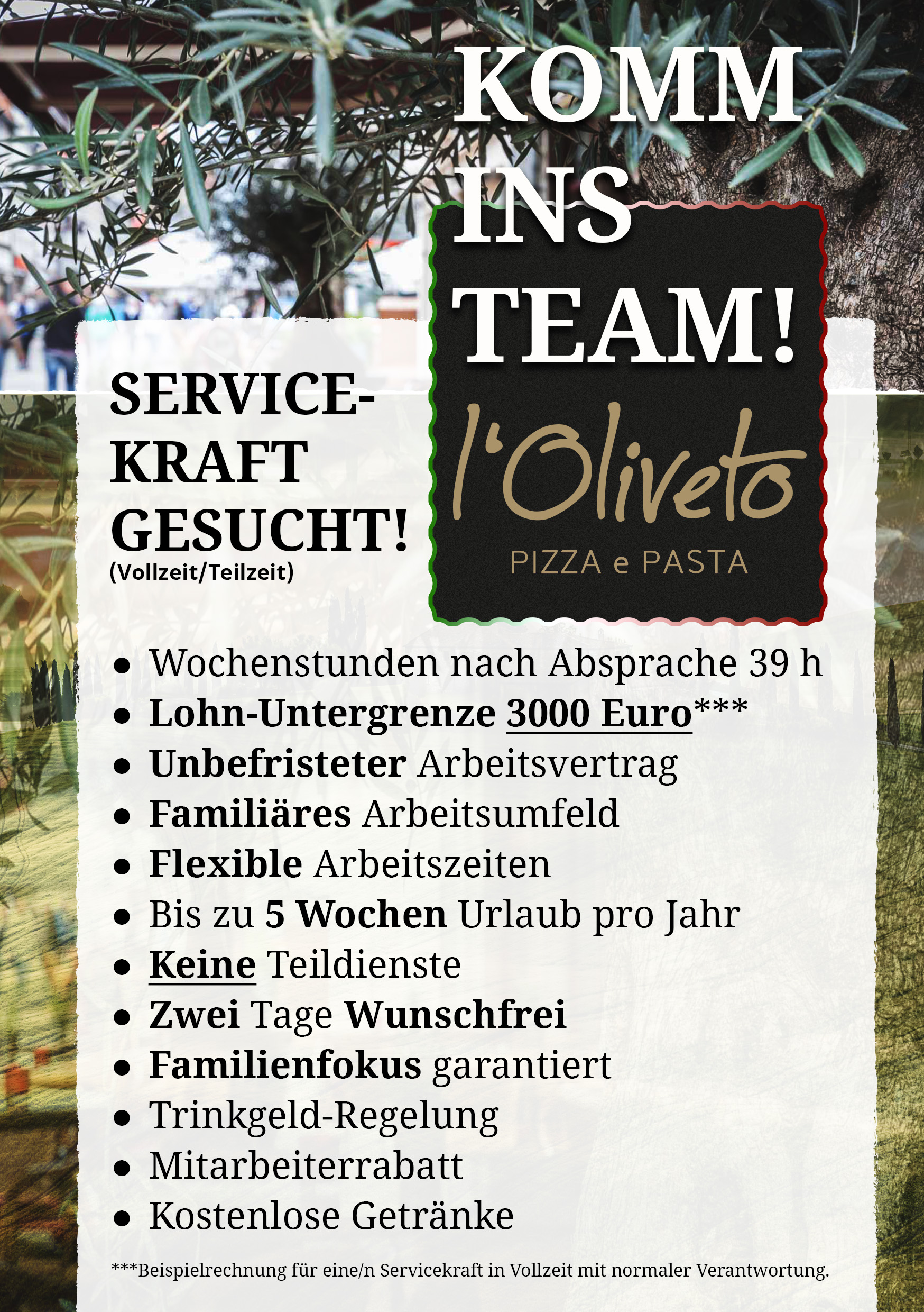 Anzeige Servicekraft OL web